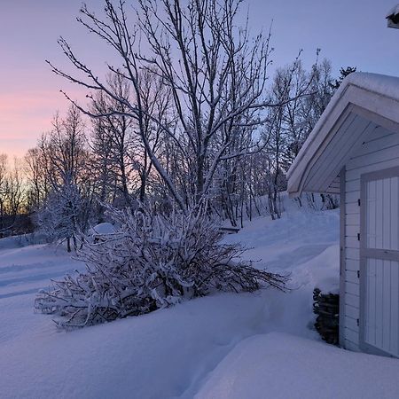Cabin Magic On Senja, Atmosphere Like A Fairytale Botnhamn Eksteriør billede