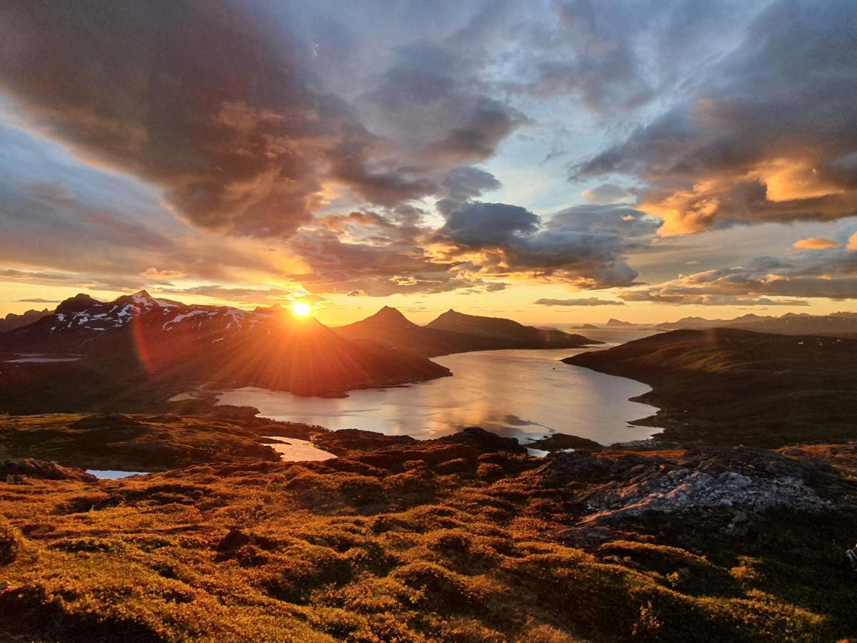 Cabin Magic On Senja, Atmosphere Like A Fairytale Botnhamn Eksteriør billede