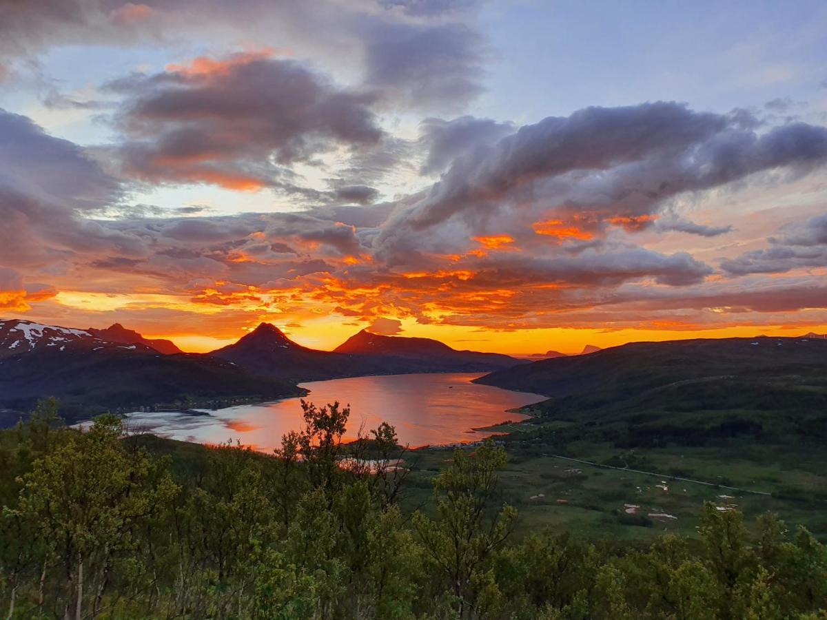 Cabin Magic On Senja, Atmosphere Like A Fairytale Botnhamn Eksteriør billede