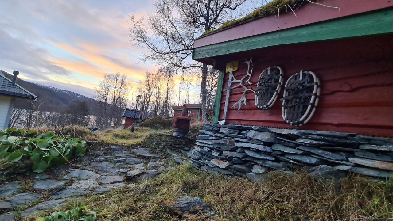 Cabin Magic On Senja, Atmosphere Like A Fairytale Botnhamn Eksteriør billede