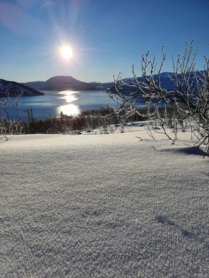 Cabin Magic On Senja, Atmosphere Like A Fairytale Botnhamn Eksteriør billede