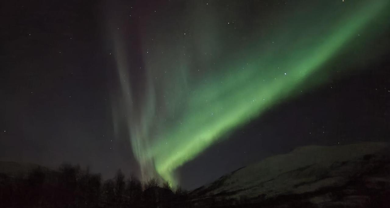 Cabin Magic On Senja, Atmosphere Like A Fairytale Botnhamn Eksteriør billede