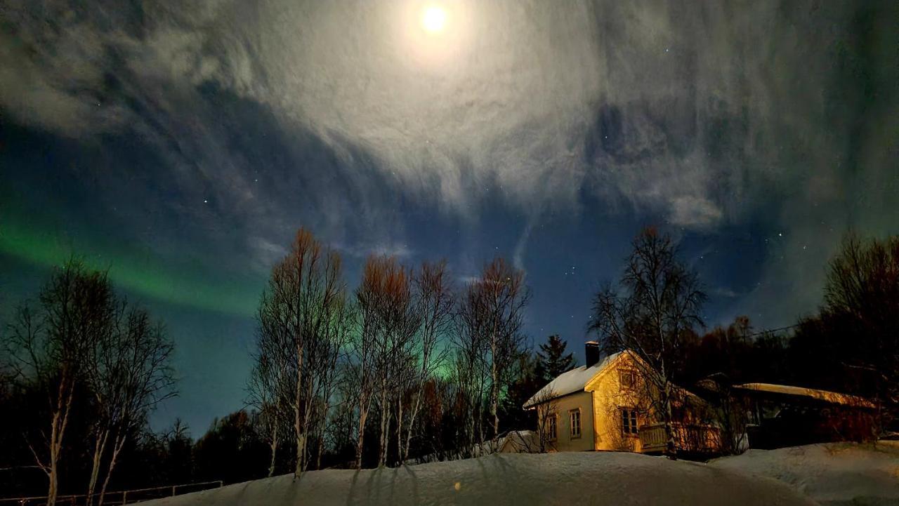 Cabin Magic On Senja, Atmosphere Like A Fairytale Botnhamn Eksteriør billede